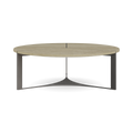 Iveric Coffee Table